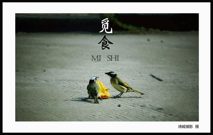 ���� _DSC0066.jpg