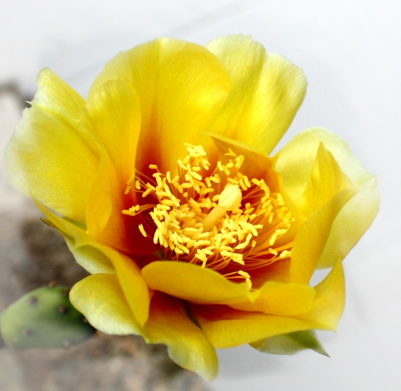 2013.5.12 481_conew2.jpg