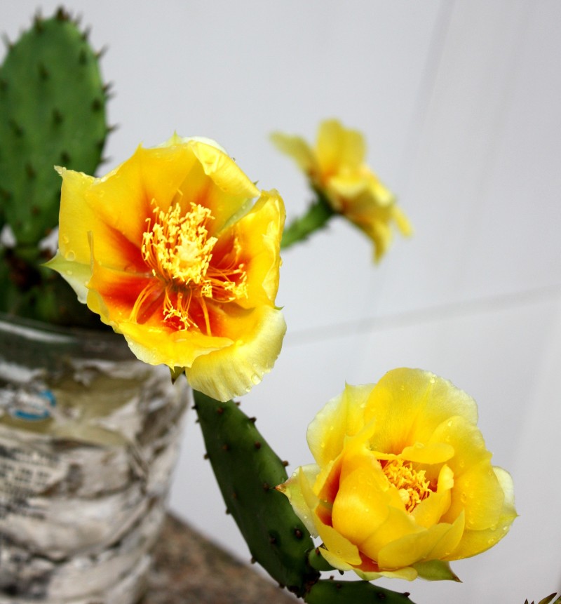 2013.5.12 504_conew3.jpg