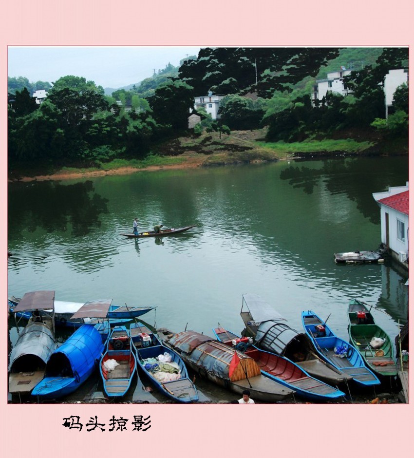 ���� DSC_3143_conew3.JPG