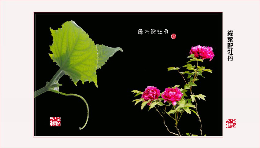 ykx0006 DSC_1560_conew1.jpg