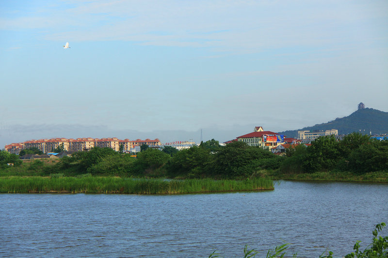 IMG_8479 1_����.jpg