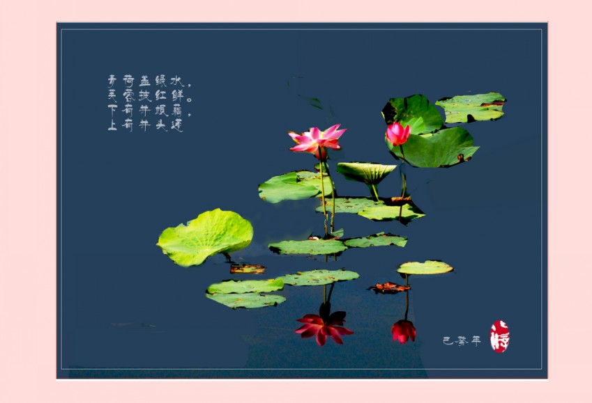 ���� DSC_4097_conew1.jpg