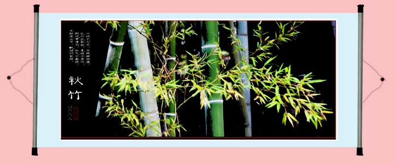 ���� ykx0010-1_conew1.jpg