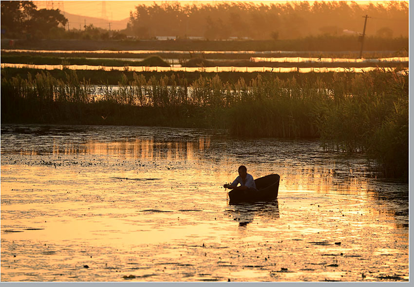 AD4A0816 ����.jpg