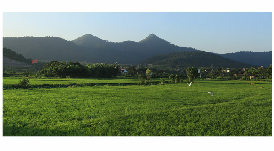 0837 ����.jpg