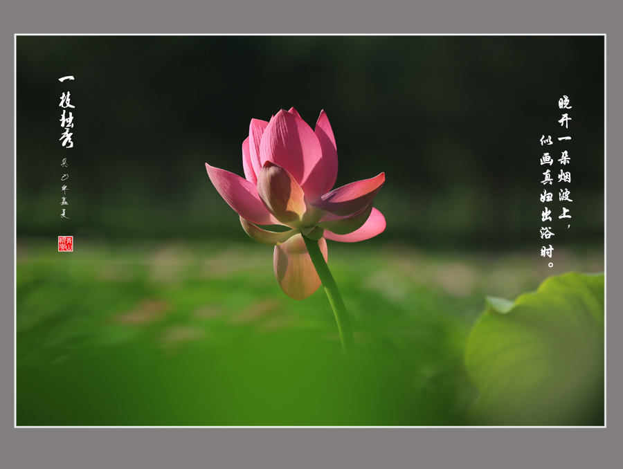 AD4A0984 ����.jpg