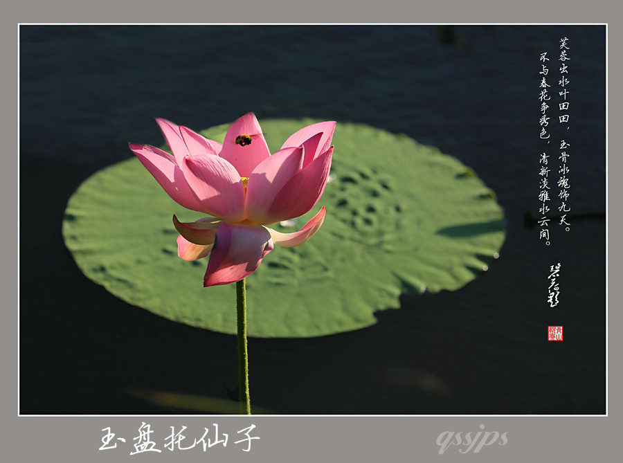 AD4A0889 ����.jpg