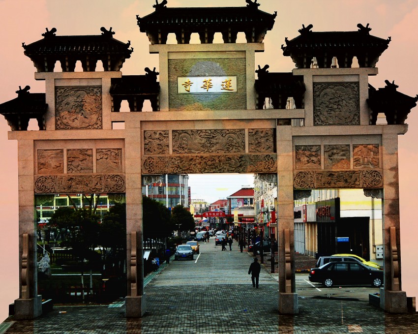 ���� DSC_6889_conew1.JPG