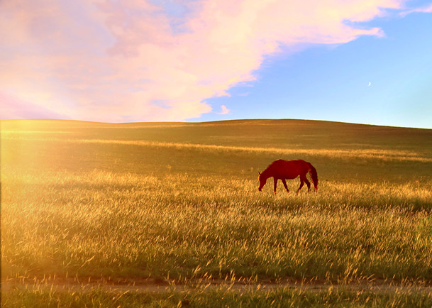 ���� IMG_9560_����.jpg