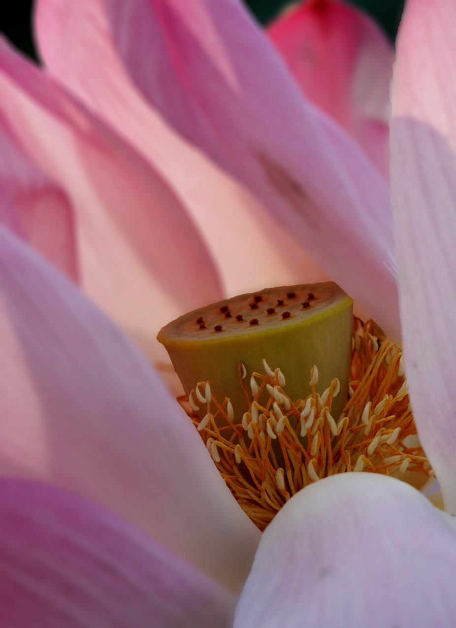 IMG_1286 ����.jpg