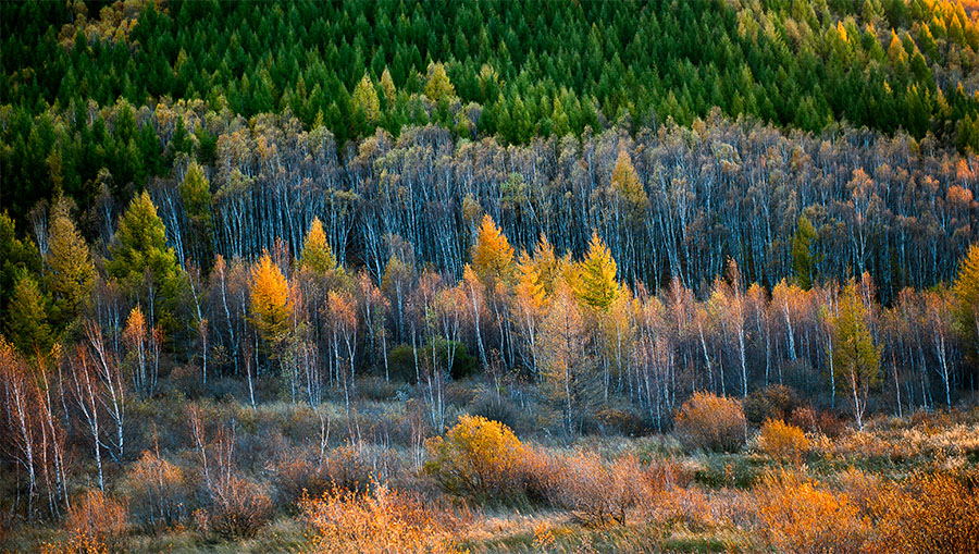 ���ϵ�����