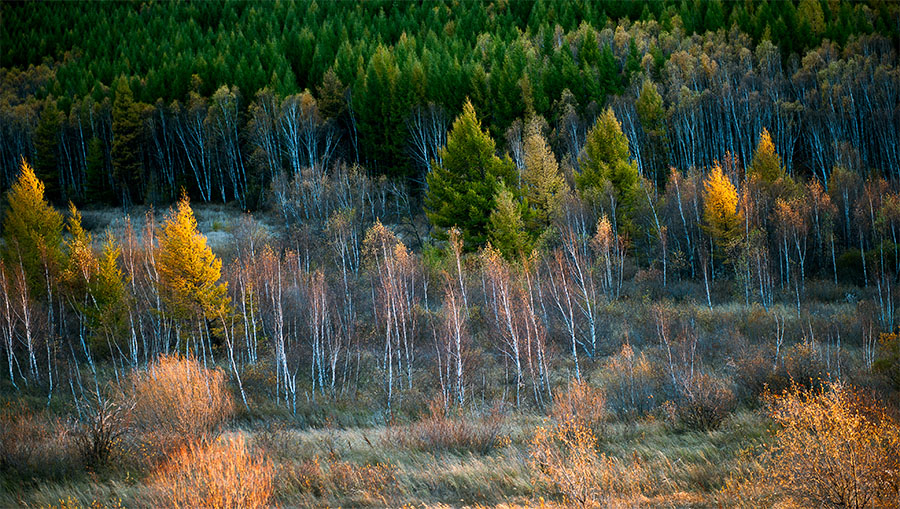 ���ϵ�����