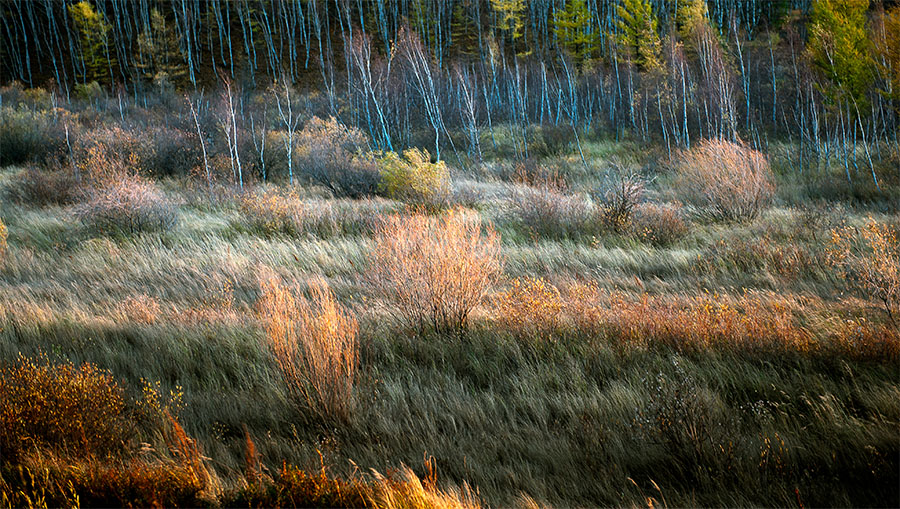 ���ϵ�����