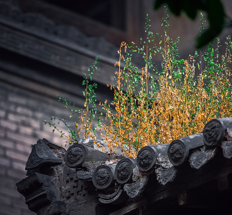 _DSC0388 ����.jpg