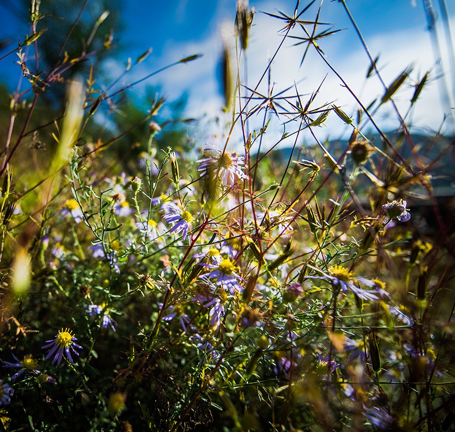 _DSC2072 ����.jpg