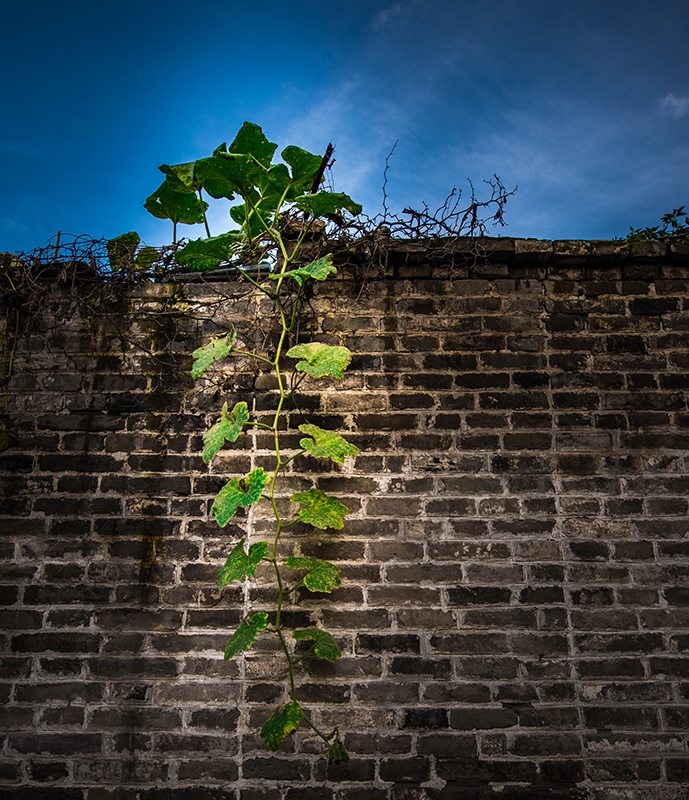 _DSC2251 ����.jpg