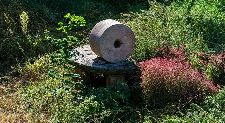 _DSC2605 ����.jpg