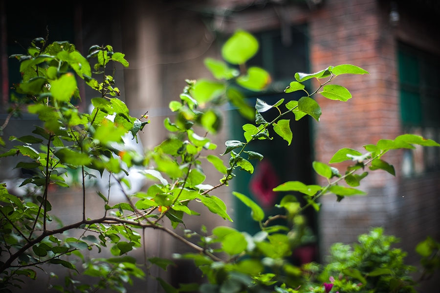 _DSC5355 ����.jpg