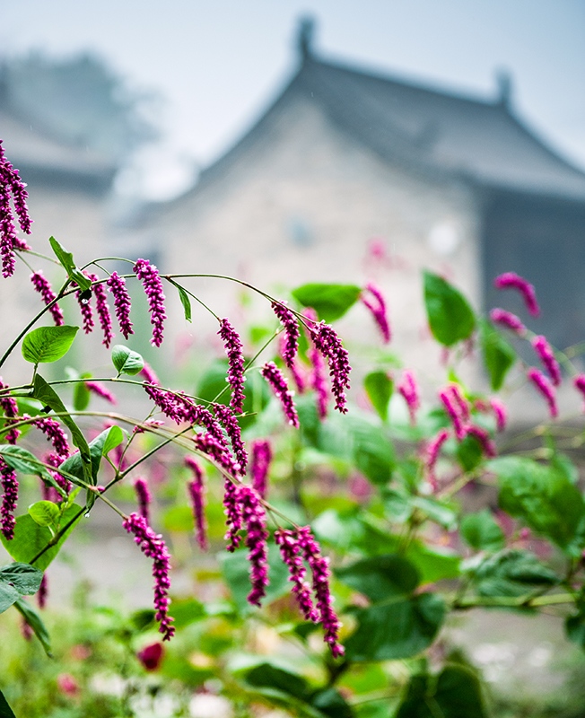 _DSC5601 ����.jpg