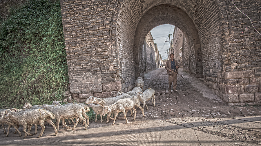 _DSC1723 ����.jpg