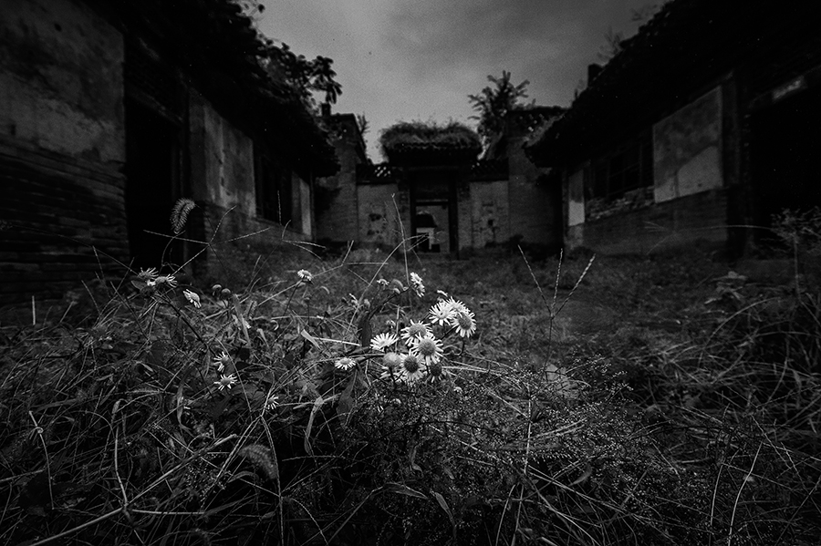 _DSC1303 ����.jpg