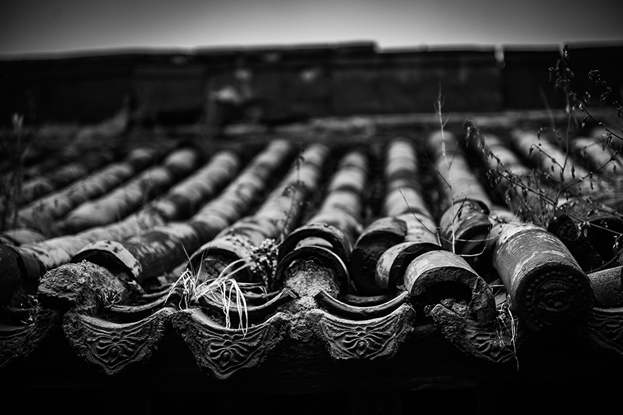 _DSC5373 ����.jpg