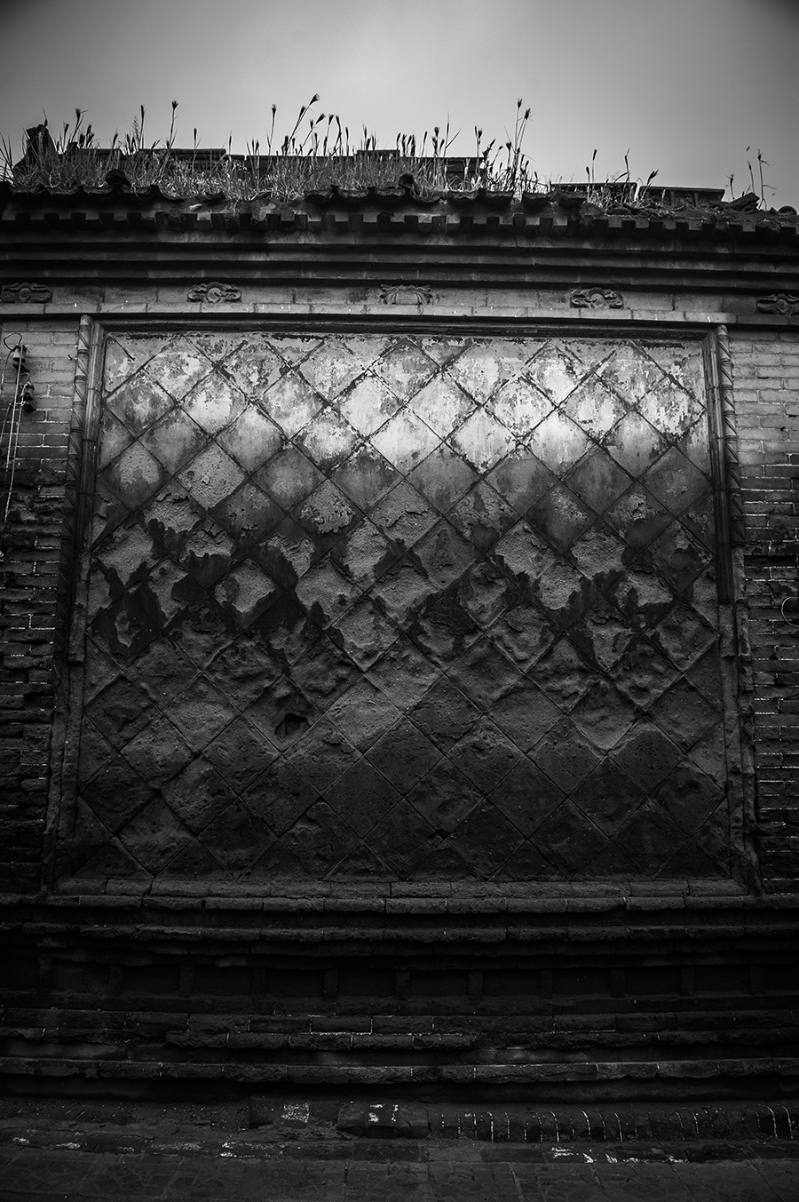 _DSC5381 ����.jpg