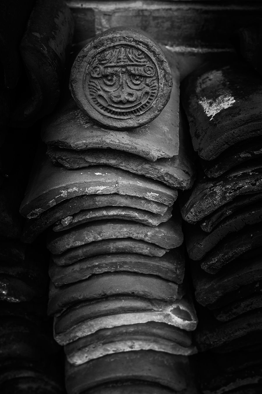 _DSC5483 ����.jpg