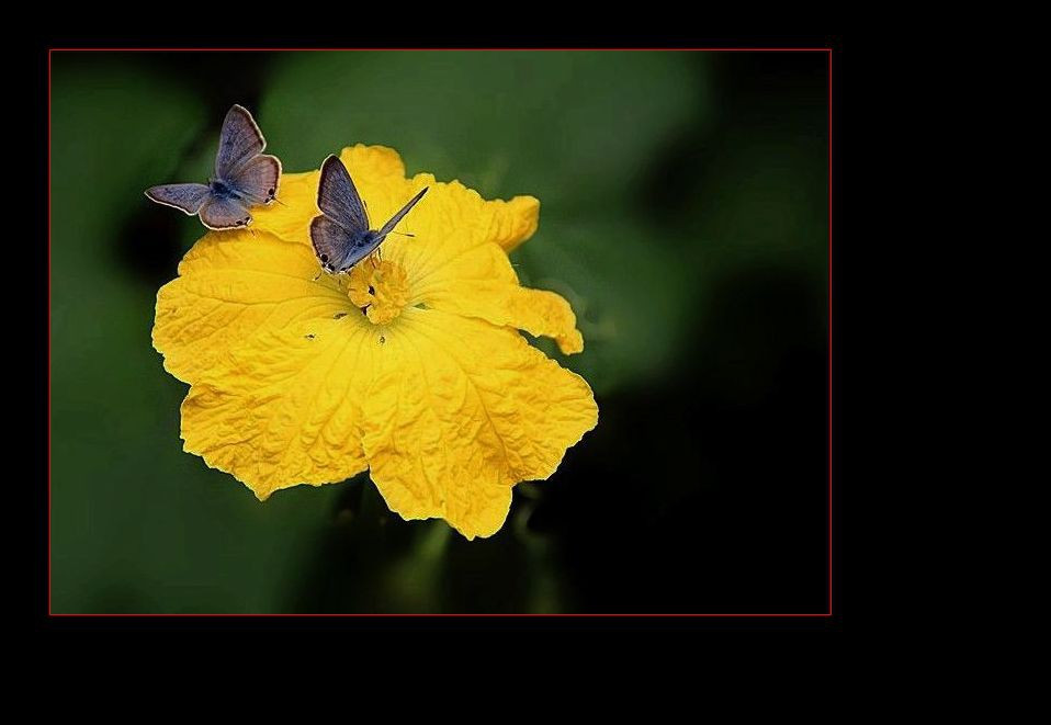 ������  ��.jpg