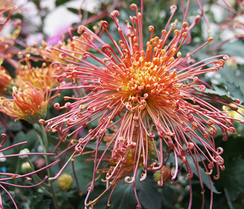 DSC01829_���� - ����.jpg