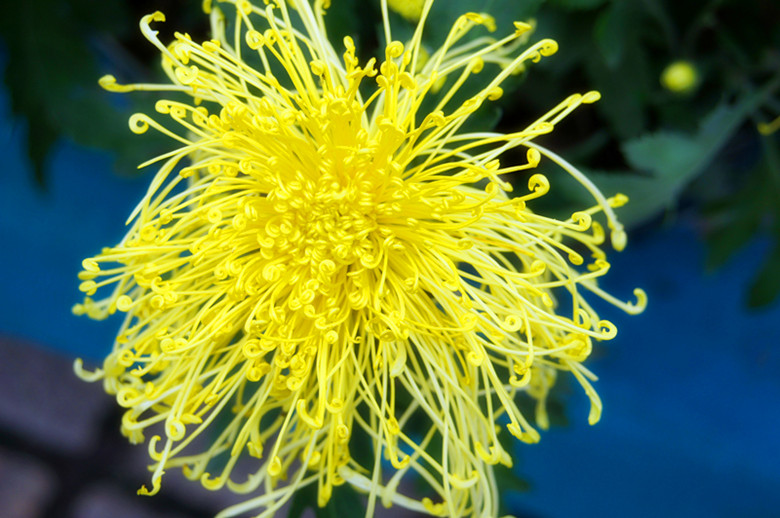 DSC01822_���� - ����.jpg