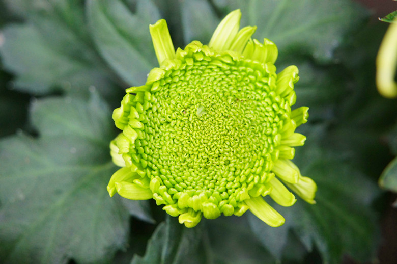 DSC01858_���� - ����.jpg