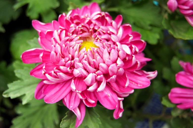 DSC01823_���� - ����.jpg