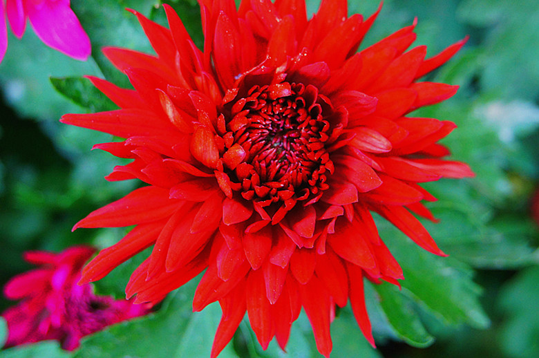 DSC01862_���� - ����.jpg