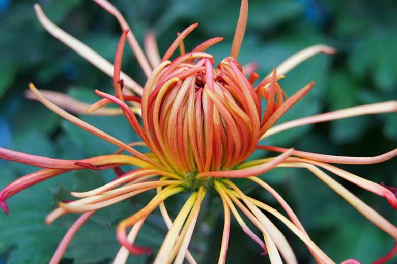 DSC01836_���� - ����.jpg