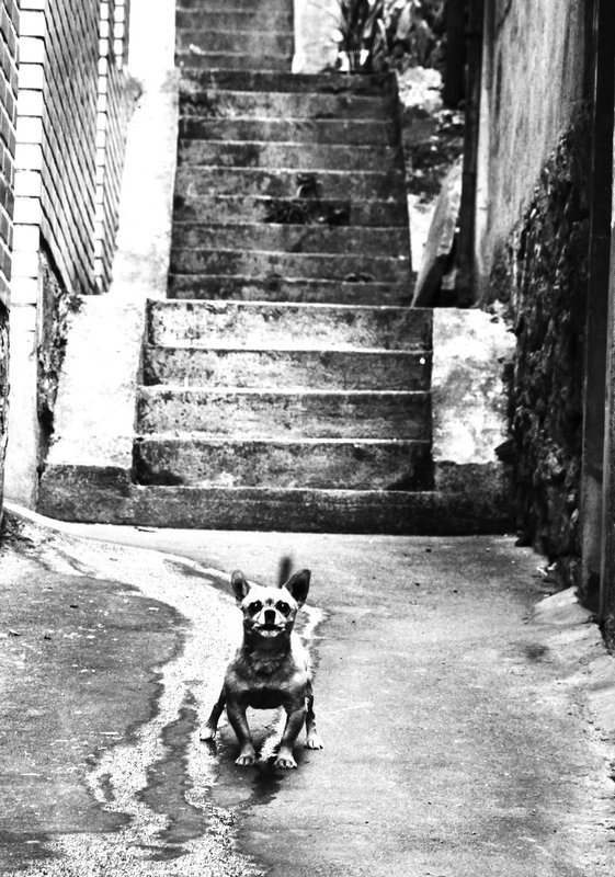 �߹��ļ���...