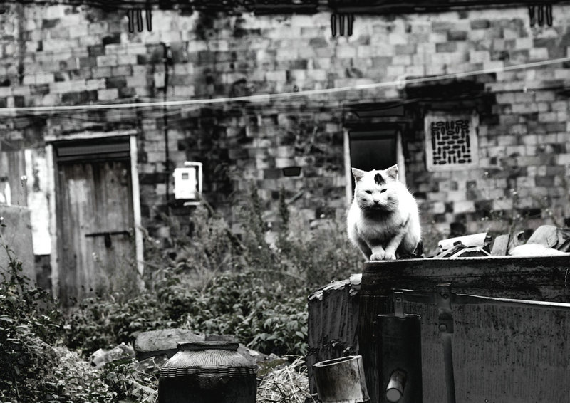 �߹��ļ���...