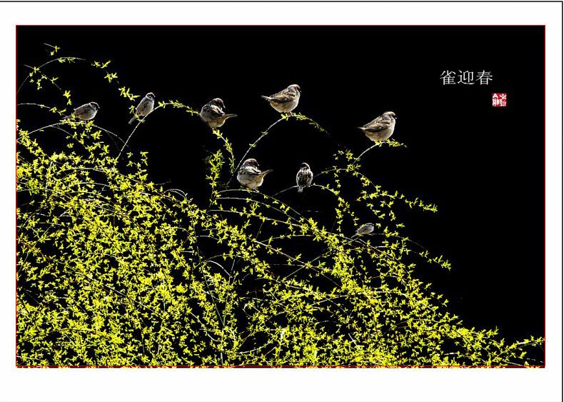 ���� ykx01_conew1.jpg