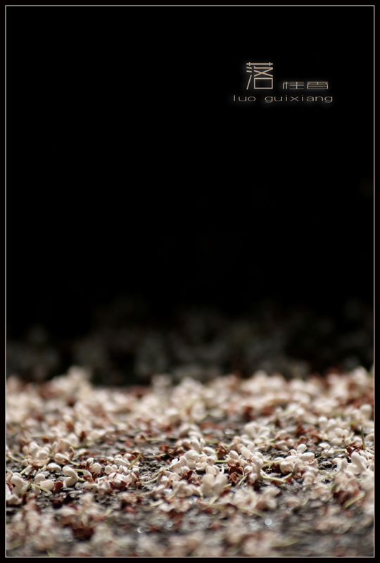 �� ����.jpg