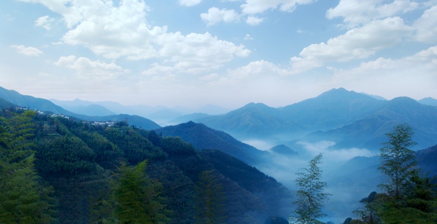 ���� ľ���ykx001_conew1.jpg