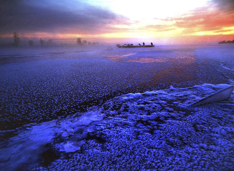 1 (42)����.jpg