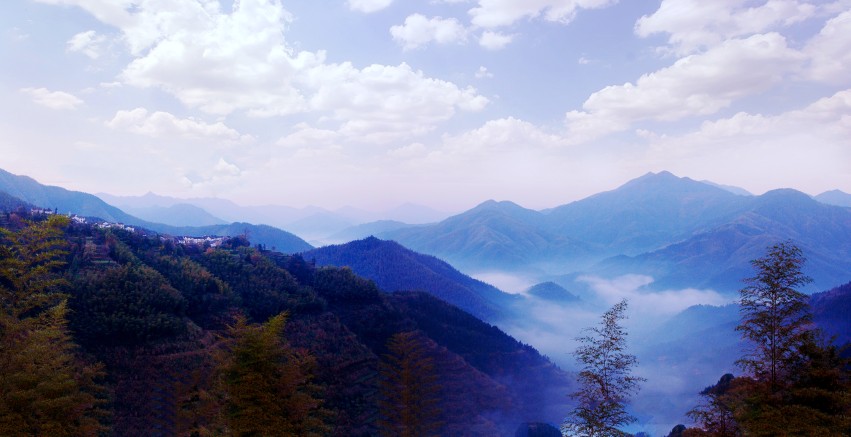 ���� ���� ľ���ykx001_conew1.jpg