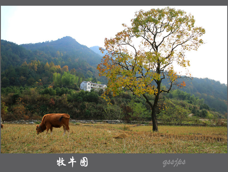 AD4A1760 ����.jpg