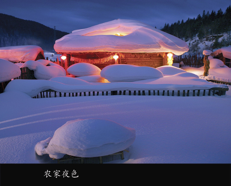 1 (48)����.jpg