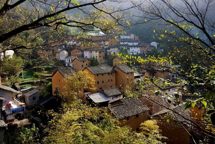 ���� DSC������¥.jpg