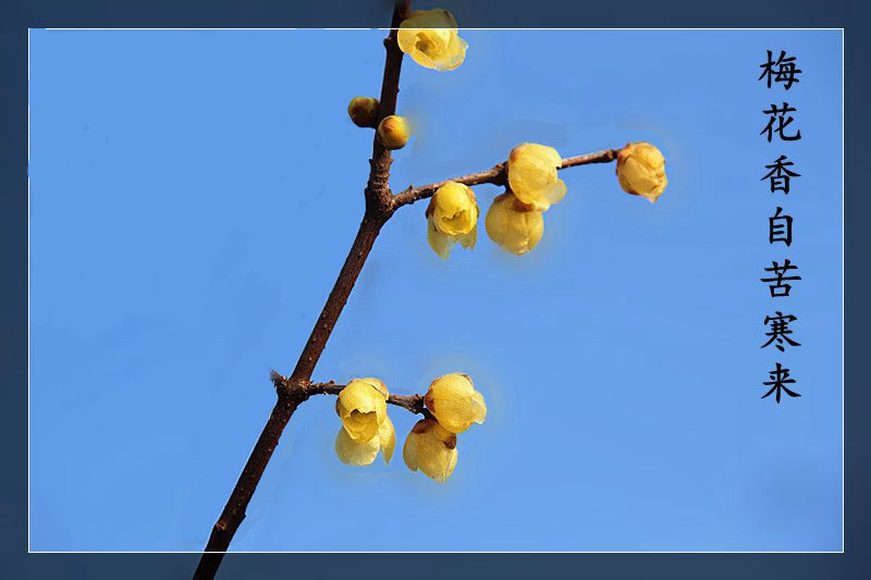 ÷�����Կຮ�� .jpg