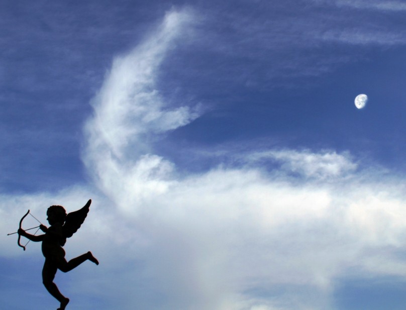 �������������������