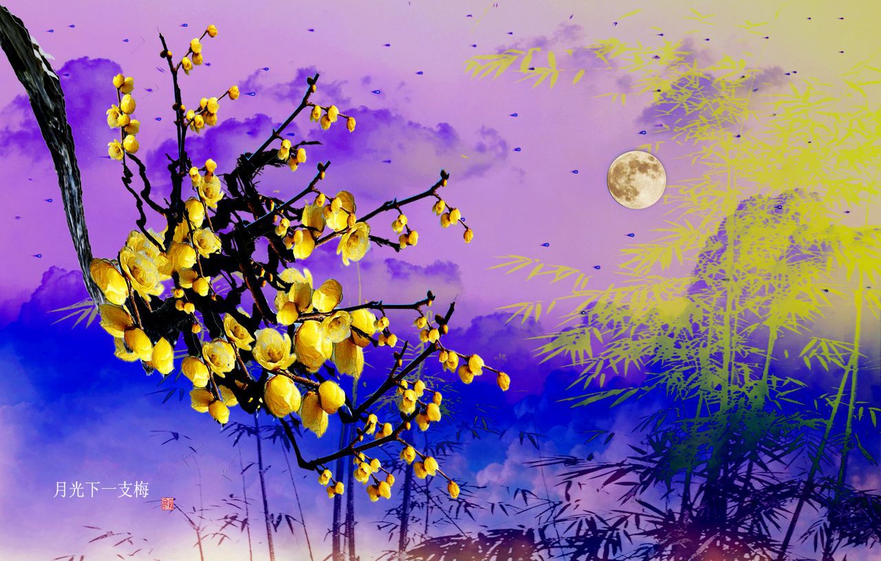 ���� ���� ykx18.2.jpg