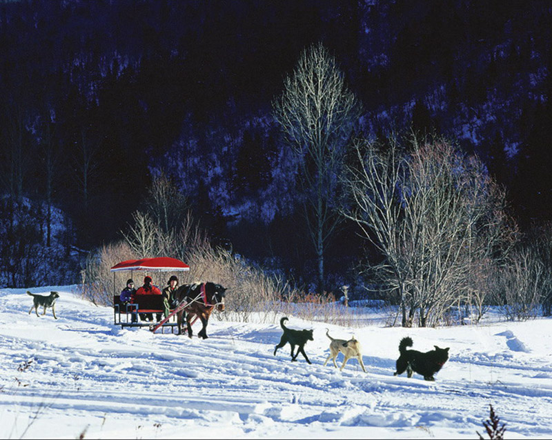 1 (66)����.jpg